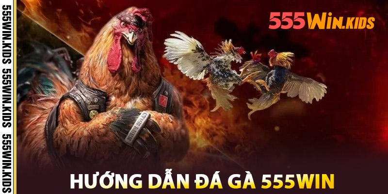Hướng Dẫn Đá Gà 555win